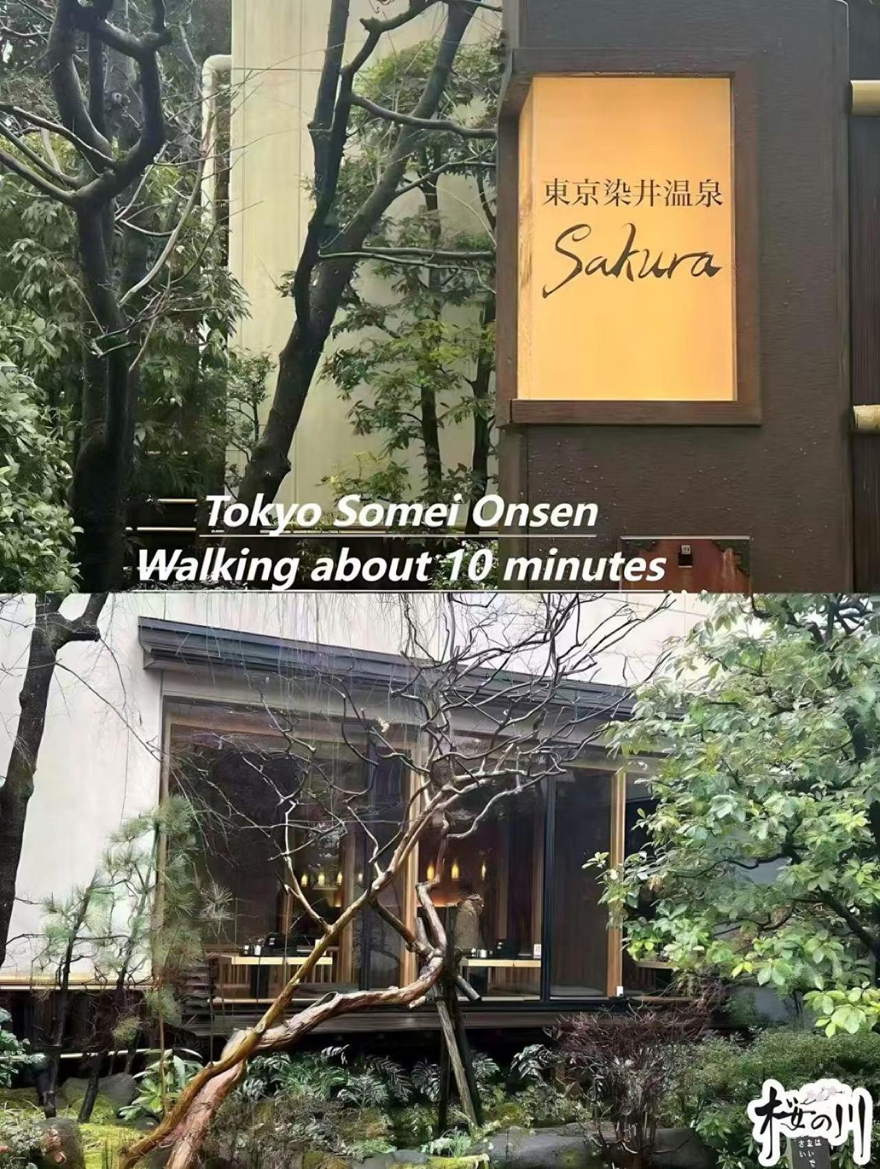 桜の川3 Sugamo Diamond Mansion 105 Direct To Ikebukuro Yamanote Line 5Mins Apartamento Tóquio Exterior foto