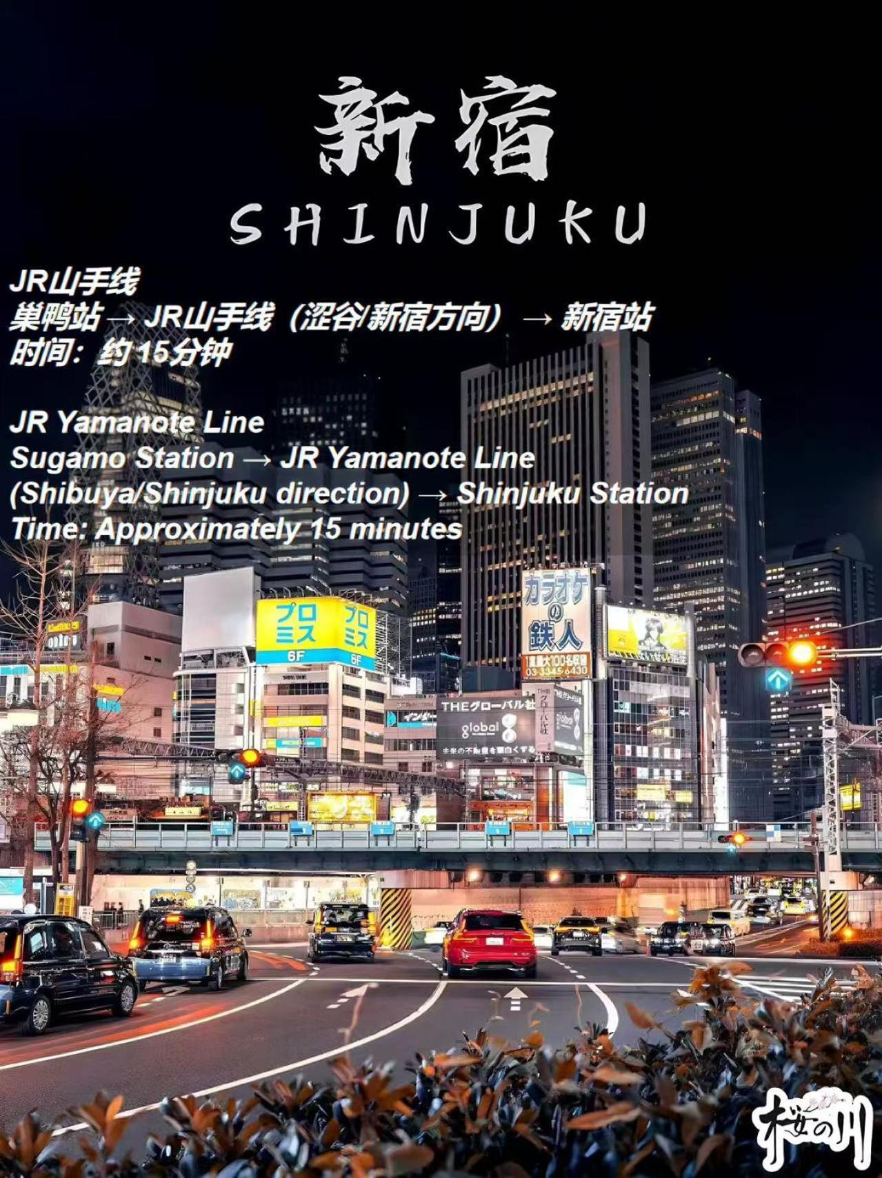 桜の川3 Sugamo Diamond Mansion 105 Direct To Ikebukuro Yamanote Line 5Mins Apartamento Tóquio Exterior foto